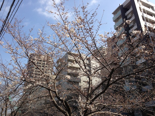 20130317.jpg